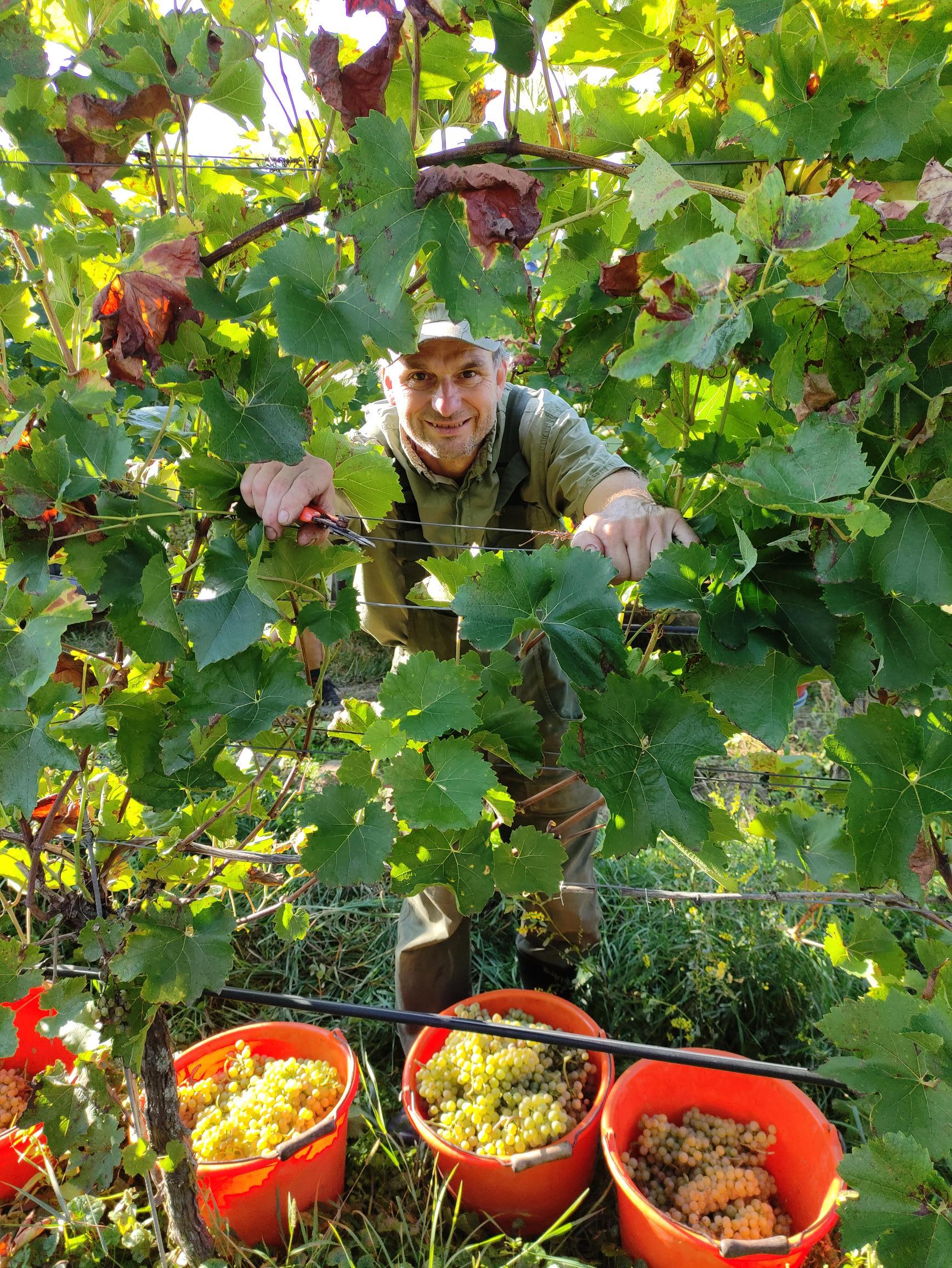 Foto 4 von Weingut Rabenhof