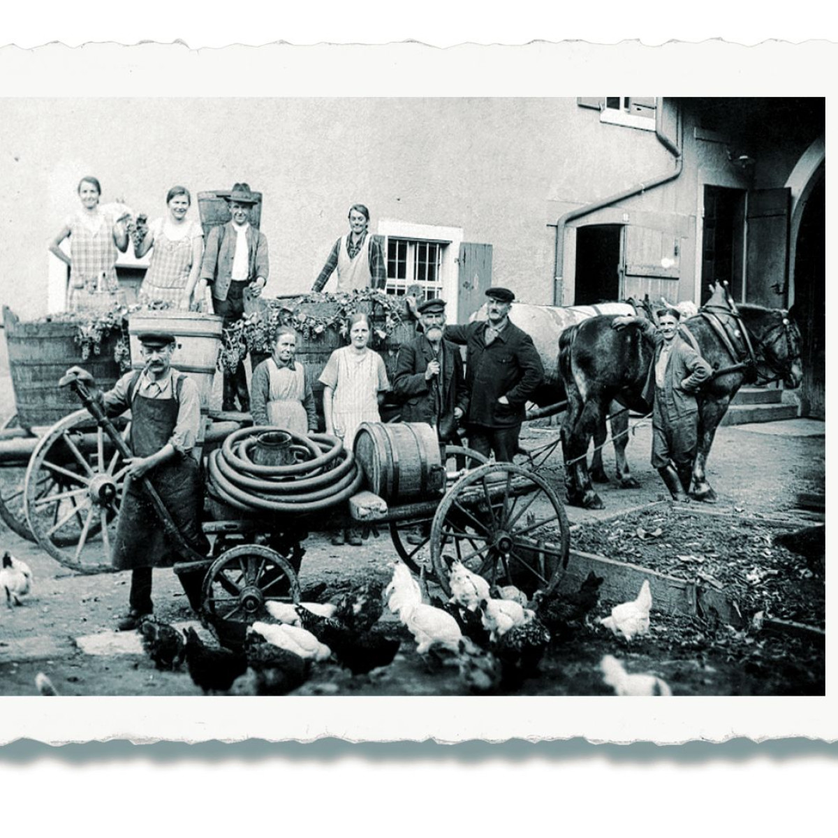 Foto 5 von Weingut Rainer Schlumberger