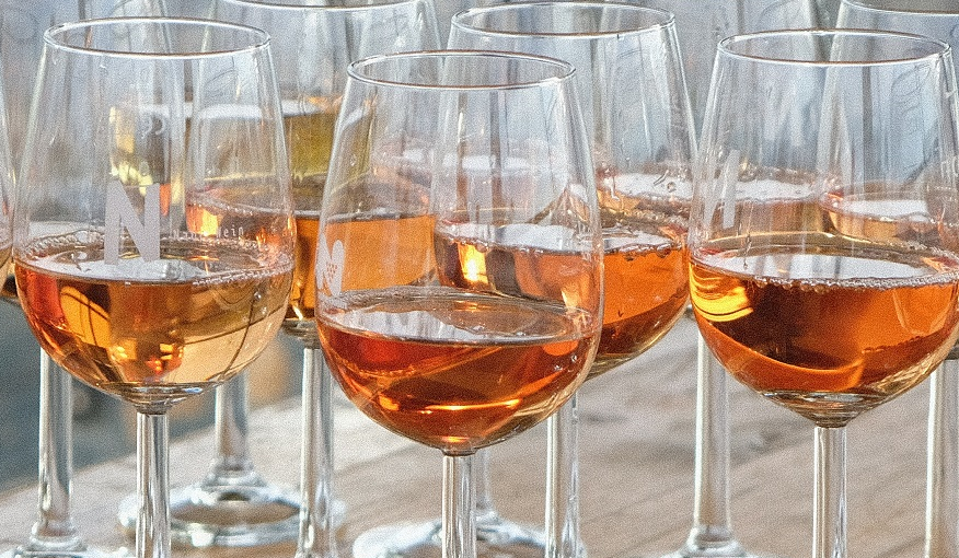 Foto 6 von Weingut Rapp