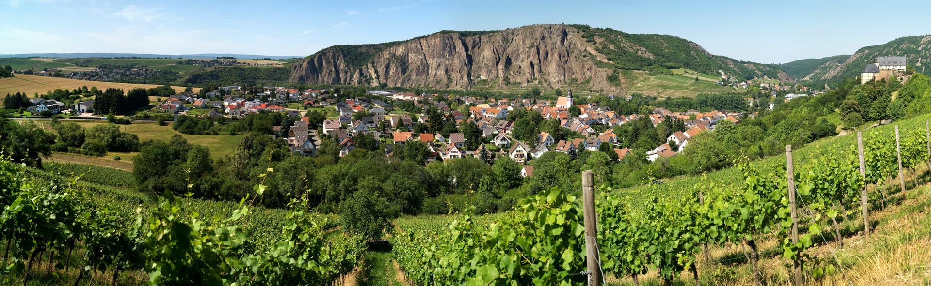Foto 3 von Weingut Rapp