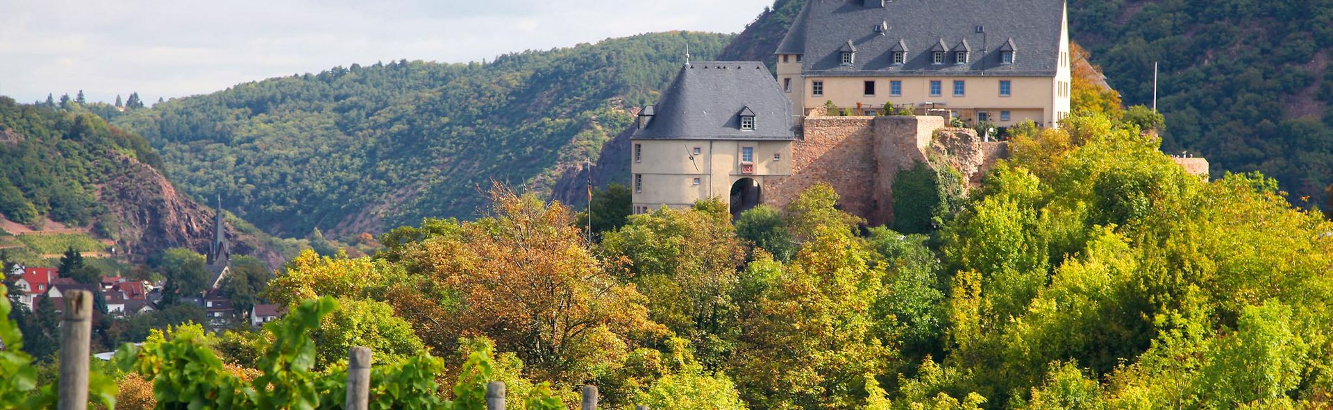Foto 4 von Weingut Rapp
