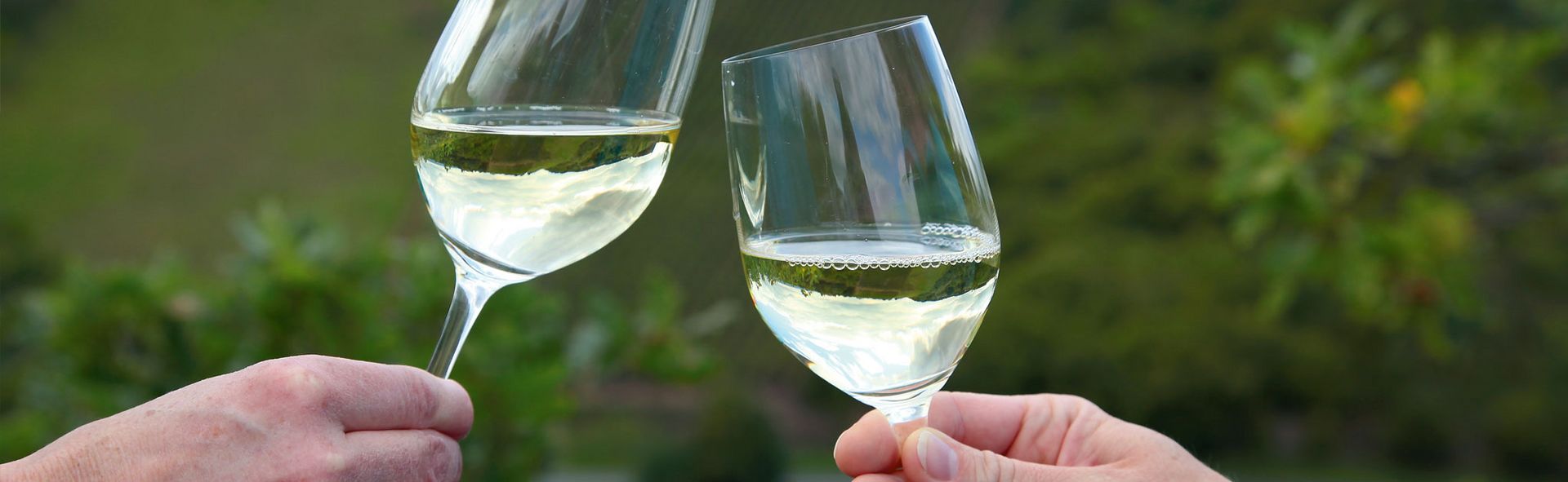 Foto 2 von Weingut Rapp