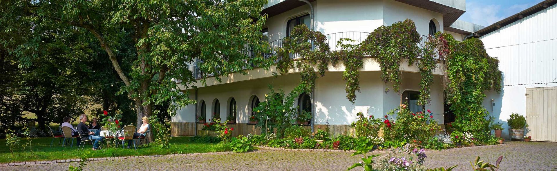 Foto 1 von Weingut Rapp
