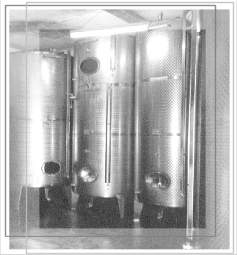 Foto 2 von Weingut Rasp-Lambert