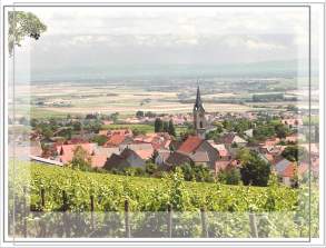 Foto 4 von Weingut Rasp-Lambert