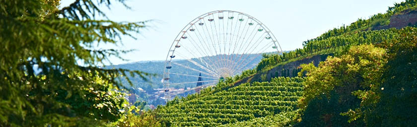 Foto 7 von Weingut Raßkopf-Hofmann