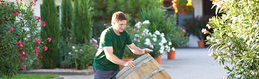 Foto 1 von Weingut Raßkopf-Hofmann