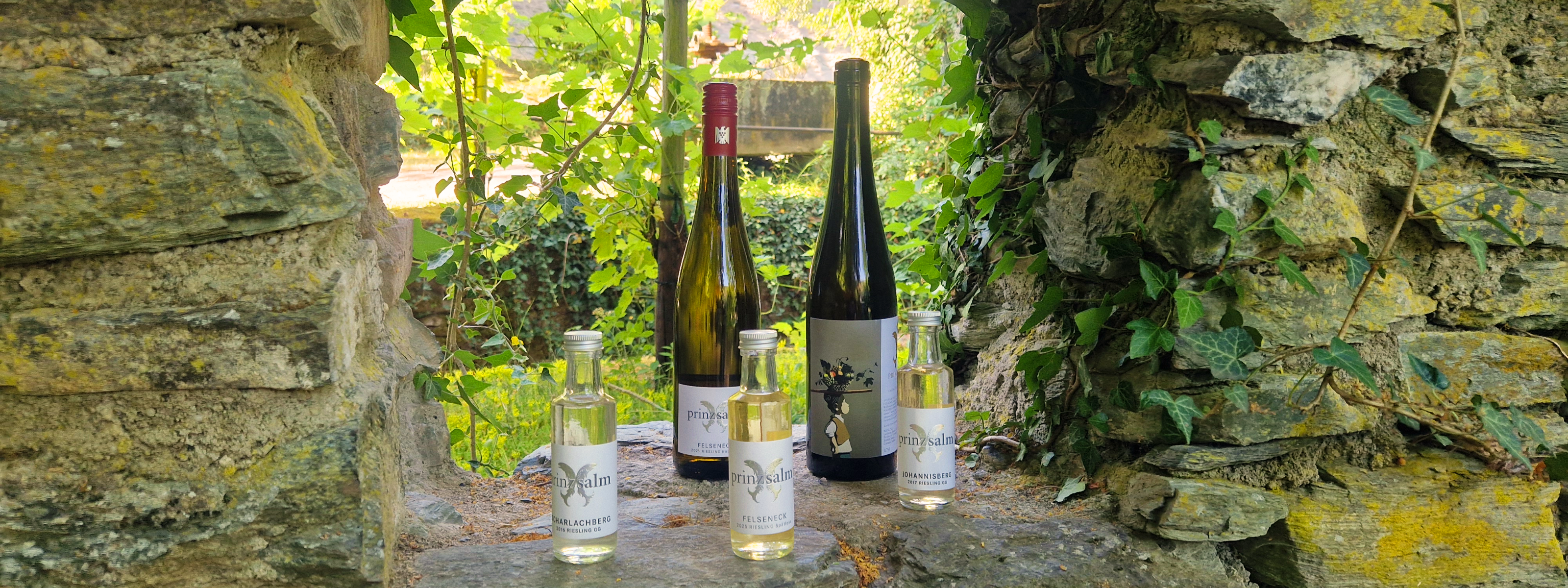 Foto 5 von Prinz zu Salm - Dalberg'sches Weingut