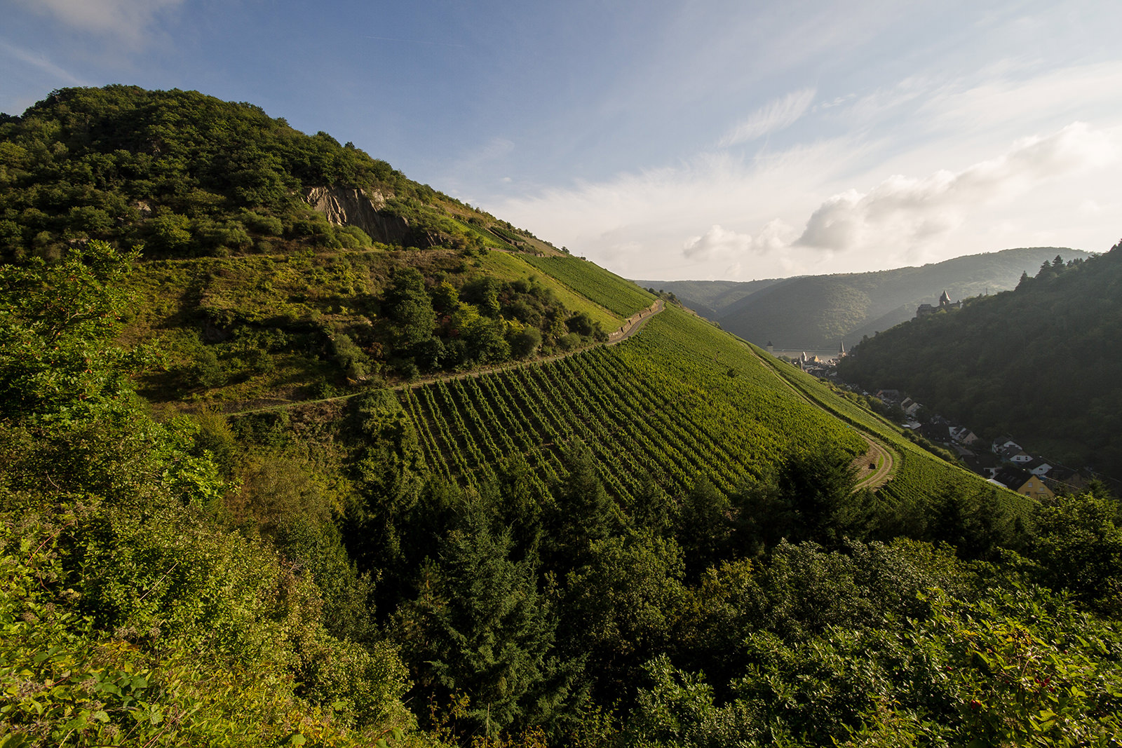 Foto 1 von Weingut Ratzenberger