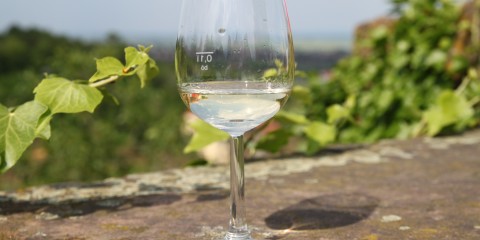 Foto 3 von Privat-Weingut Gerhard Hoffmann