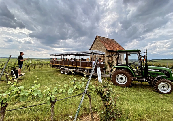 Photo 6 of Weingut Reiner Mößlein