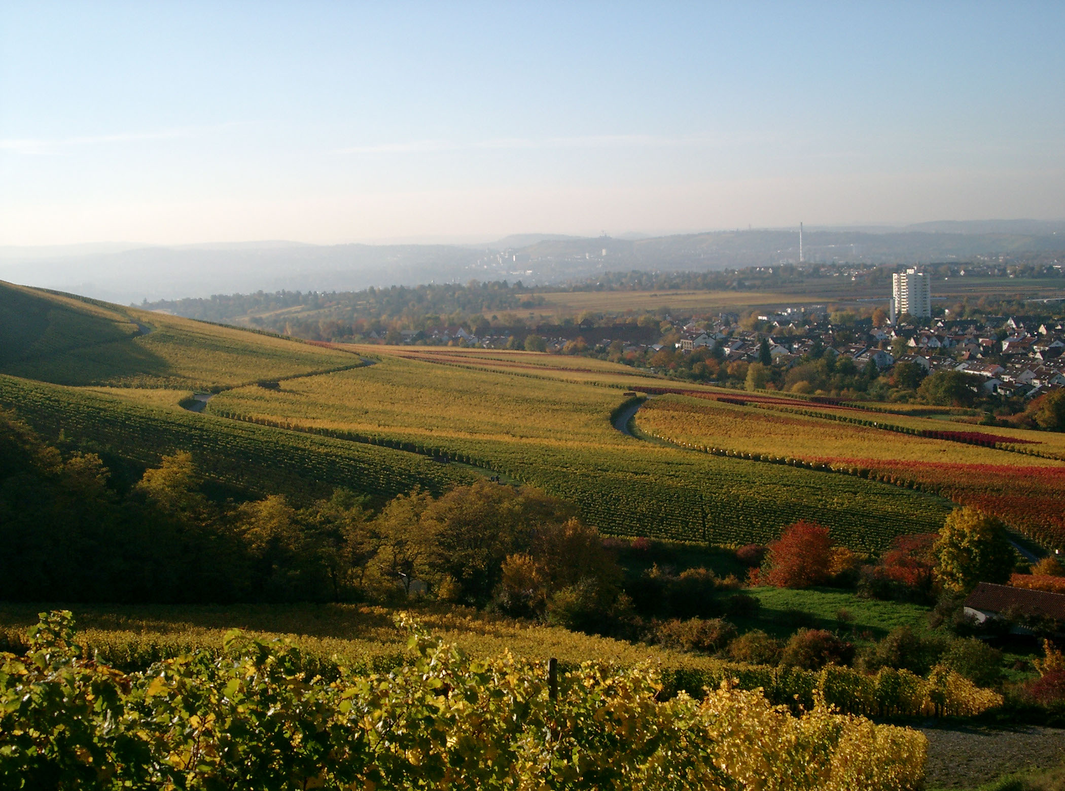 Weingut Rienth