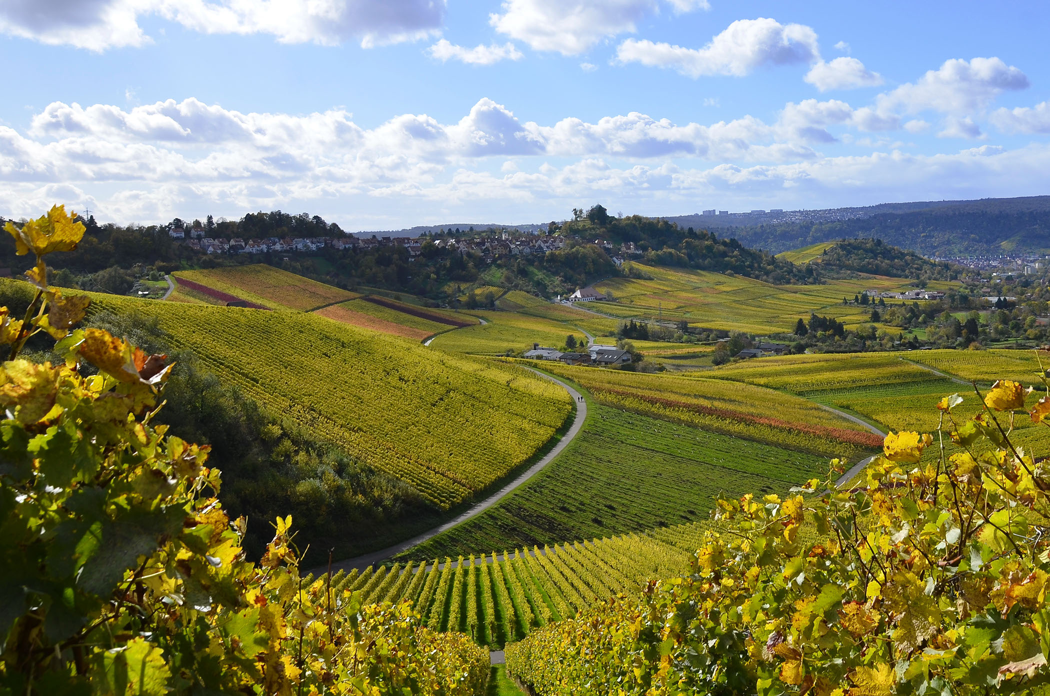 Foto 2 von Weingut Rienth