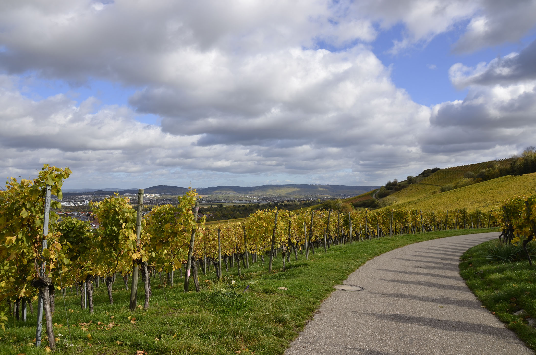 Foto 1 von Weingut Rienth