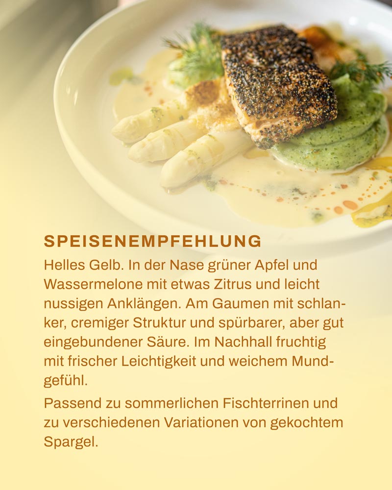 Foto 5 von Weingut Römerhof