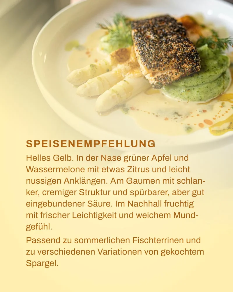 Foto 4 von Weingut Römerhof