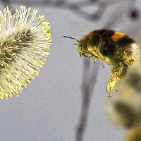 Foto 7 von Weingut Rösch-Spies