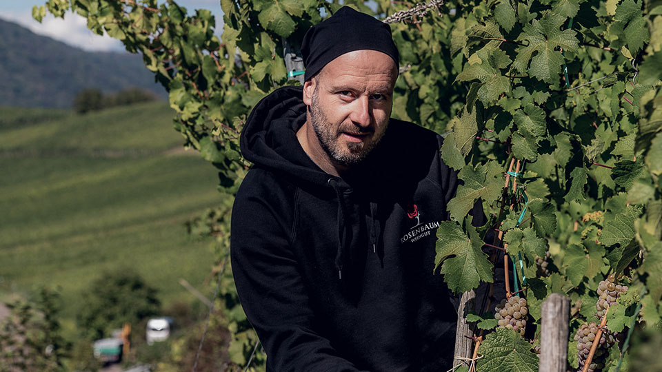 Foto 2 von Weingut Rosenbaum