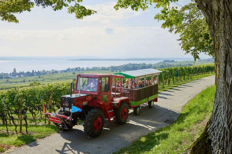 Foto 6 von Reblandhof Weingut Besenwirtschaft Siebenhaller
