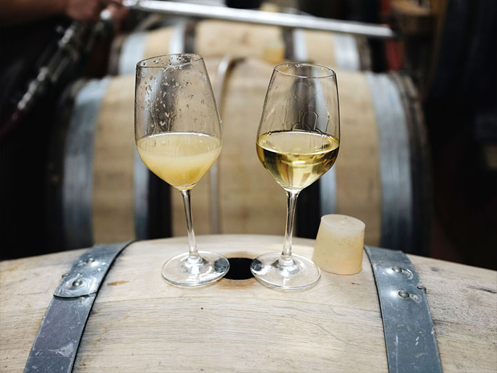 Foto 1 von Weingut Rudolf Fürst