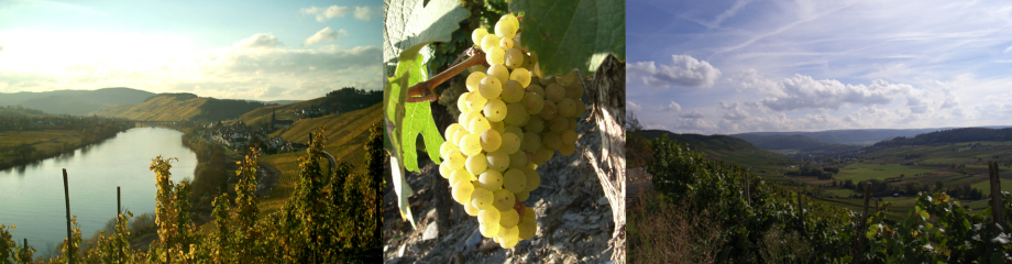 Weingut Rudolf Kiesgen & Sohn