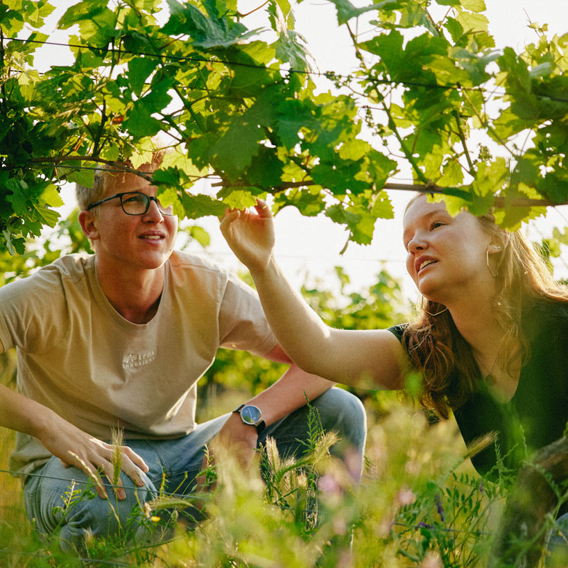 Foto 2 von Weingut Rudolf Mindnich