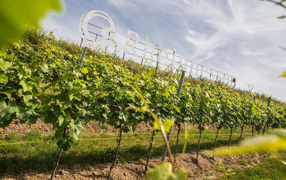 Residenzweingut Bechtel