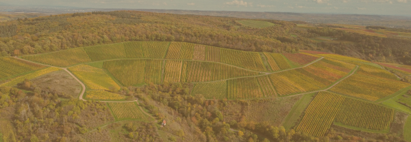 Foto 3 von Weingut Rudolf Sinß