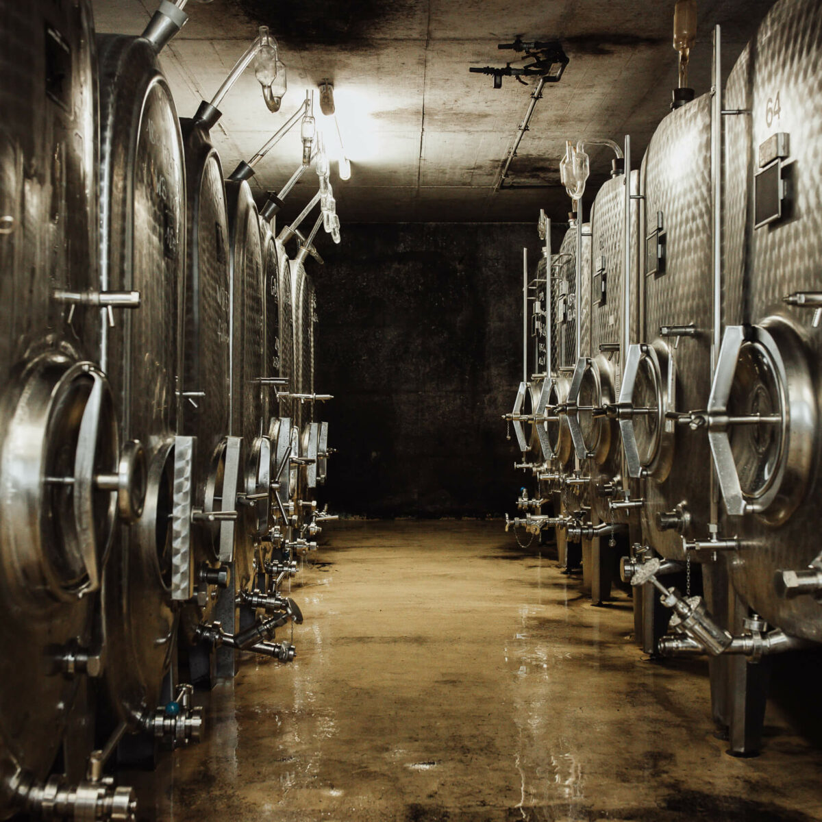 Weingut Rudolf Zimmerlin GmbH