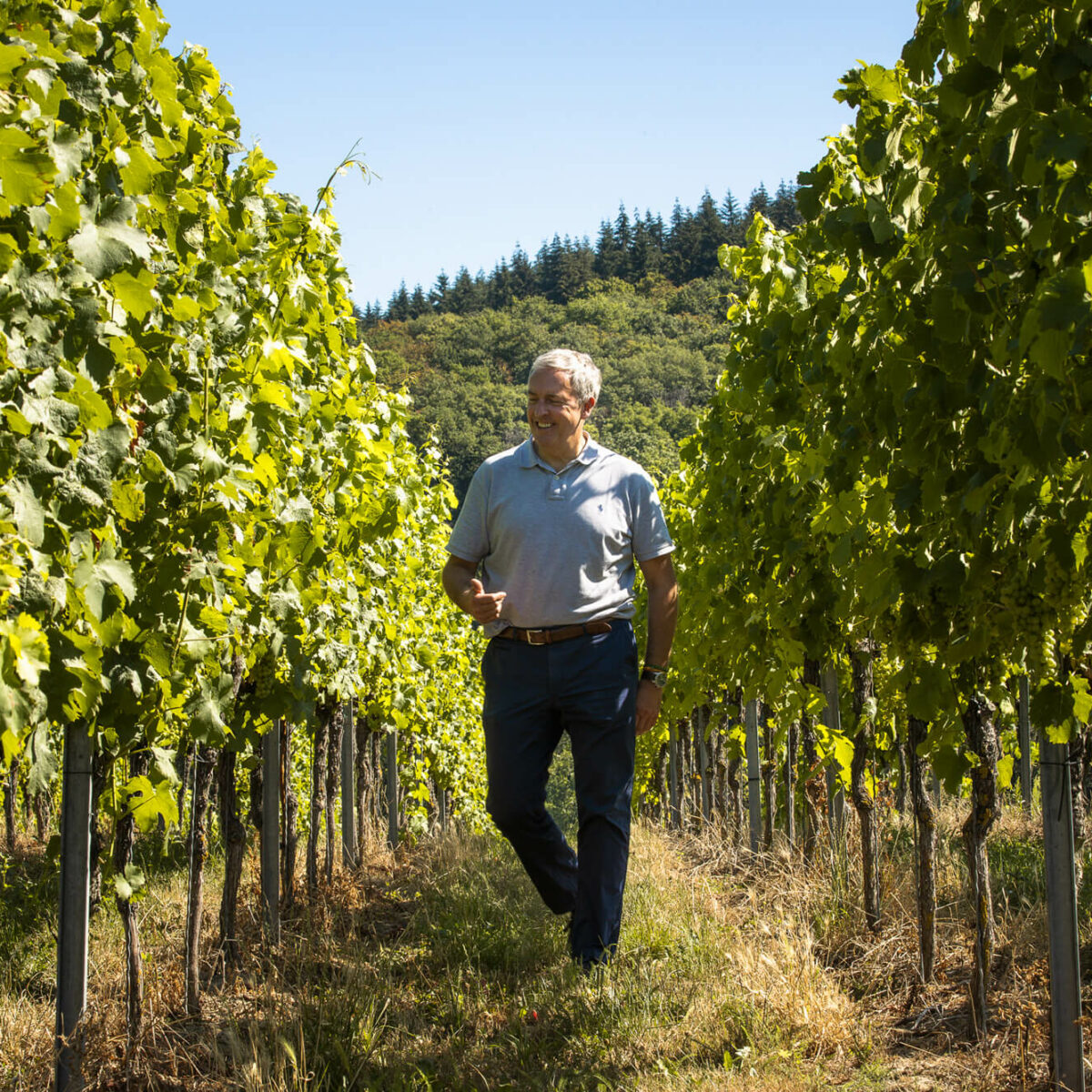 Foto 1 von Weingut Rudolf Zimmerlin GmbH
