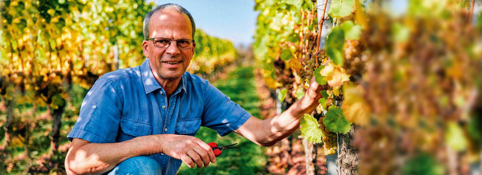 Foto 4 von Weingut Sascha Montigny
