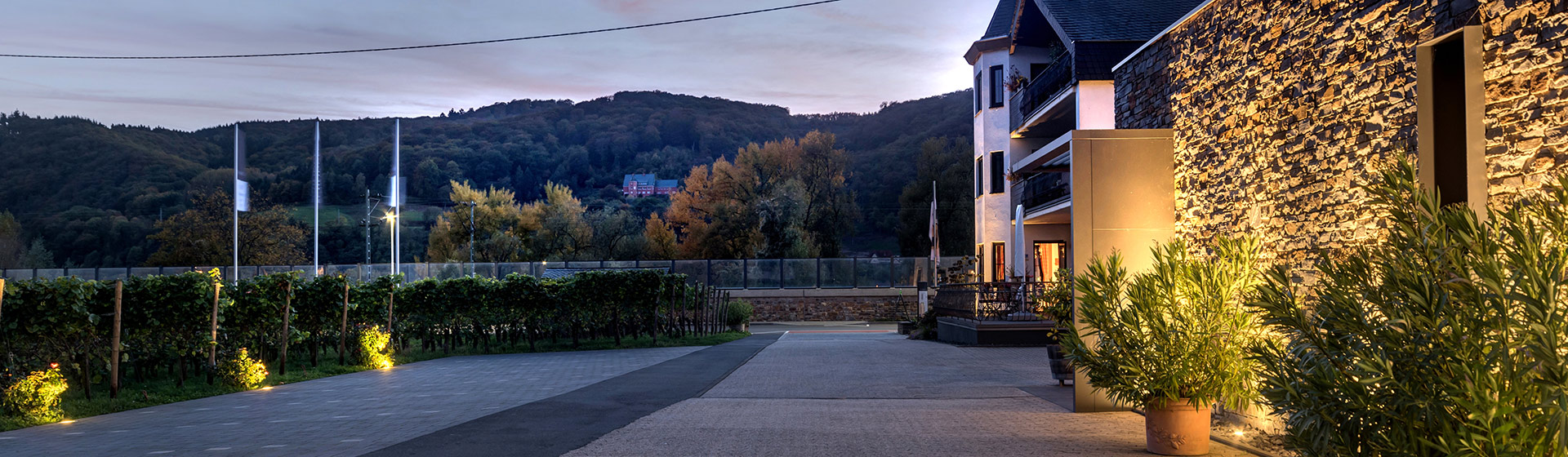 Foto 1 von Weingut Scheidgen
