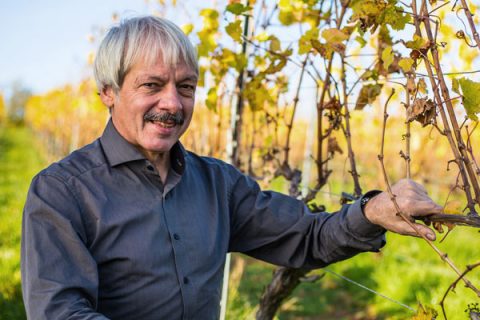 Foto 6 von Weingut Scherner-Kleinhanß