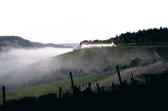 Foto 6 von Weingut Schloss Saarstein