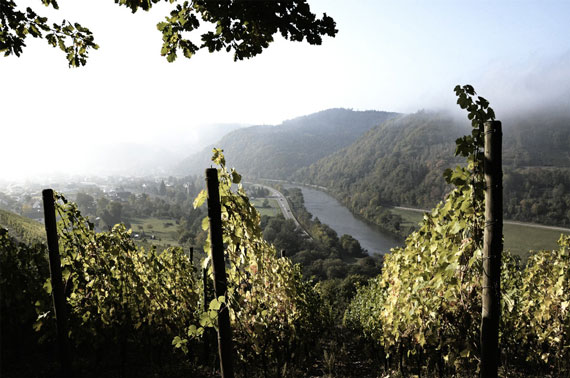 Foto 8 von Weingut Schloss Saarstein