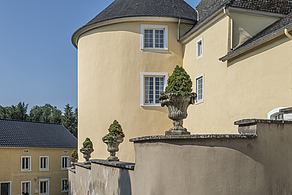 Foto 2 von Weingut Schloss Thorn