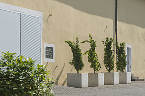 Foto 6 von Weingut Schloss Thorn