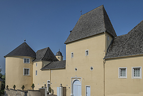 Foto 7 von Weingut Schloss Thorn