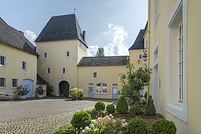 Foto 5 von Weingut Schloss Thorn