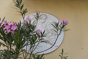 Foto 4 von Weingut Schloss Thorn