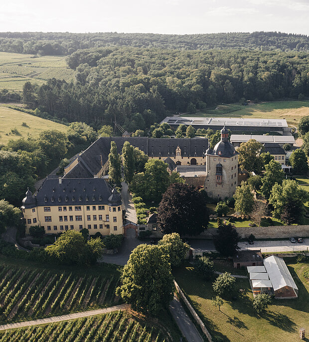 Foto 3 von Weingut Schloss Vollrads
