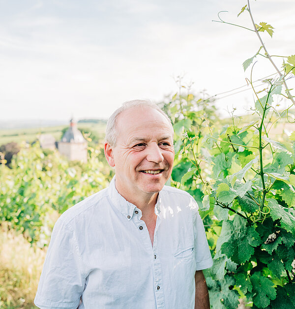 Foto 6 von Weingut Schloss Vollrads