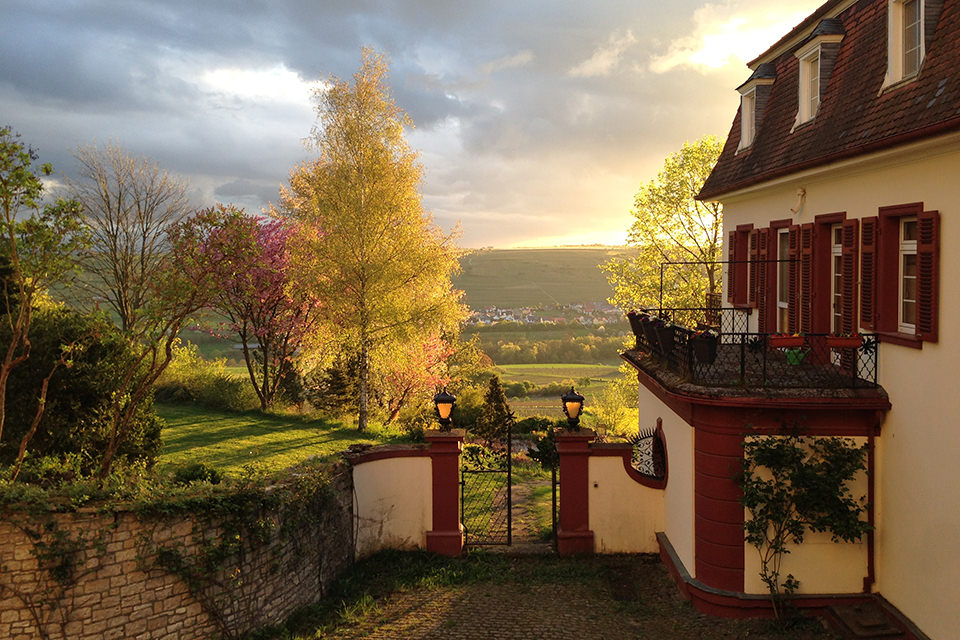 Foto 4 von Weingut Schloss Westerhaus