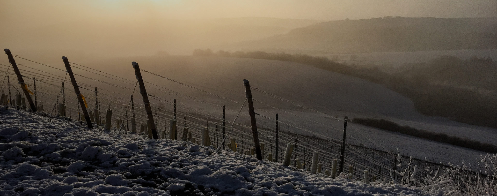 Foto 2 von Weingut Schmidt