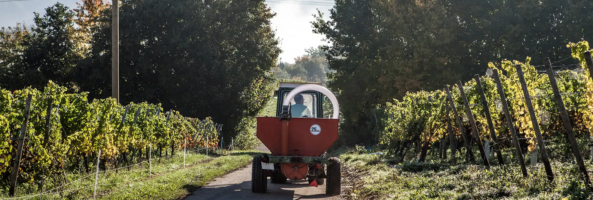 Foto 1 von Weingut Schmitt-Kranz
