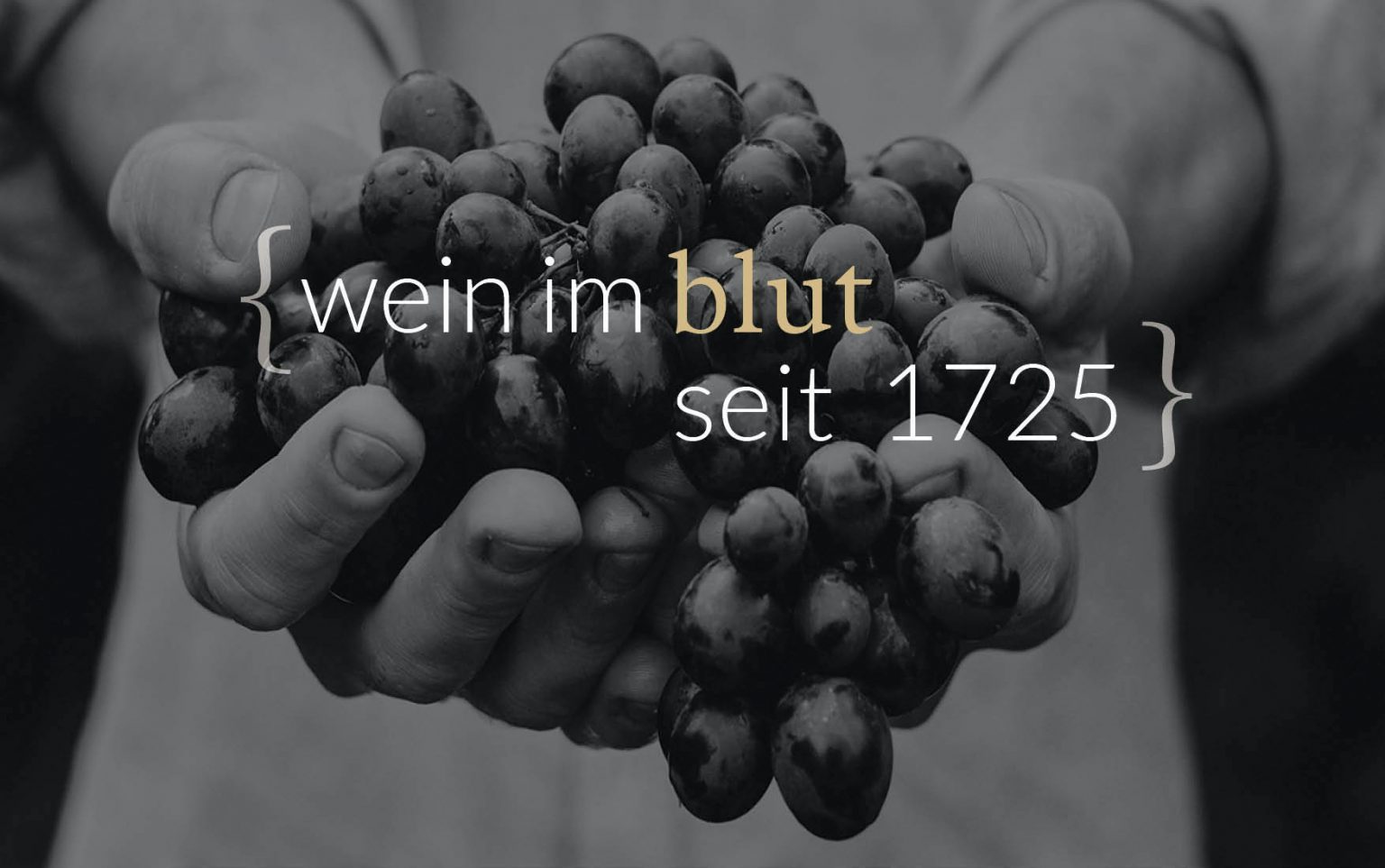 Foto 4 von Weingut Schmitt-Weber