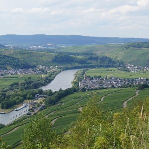 Foto 3 von Weingut Schmitz