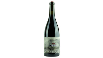 Foto 5 von Weingut Schmitzer-Julier