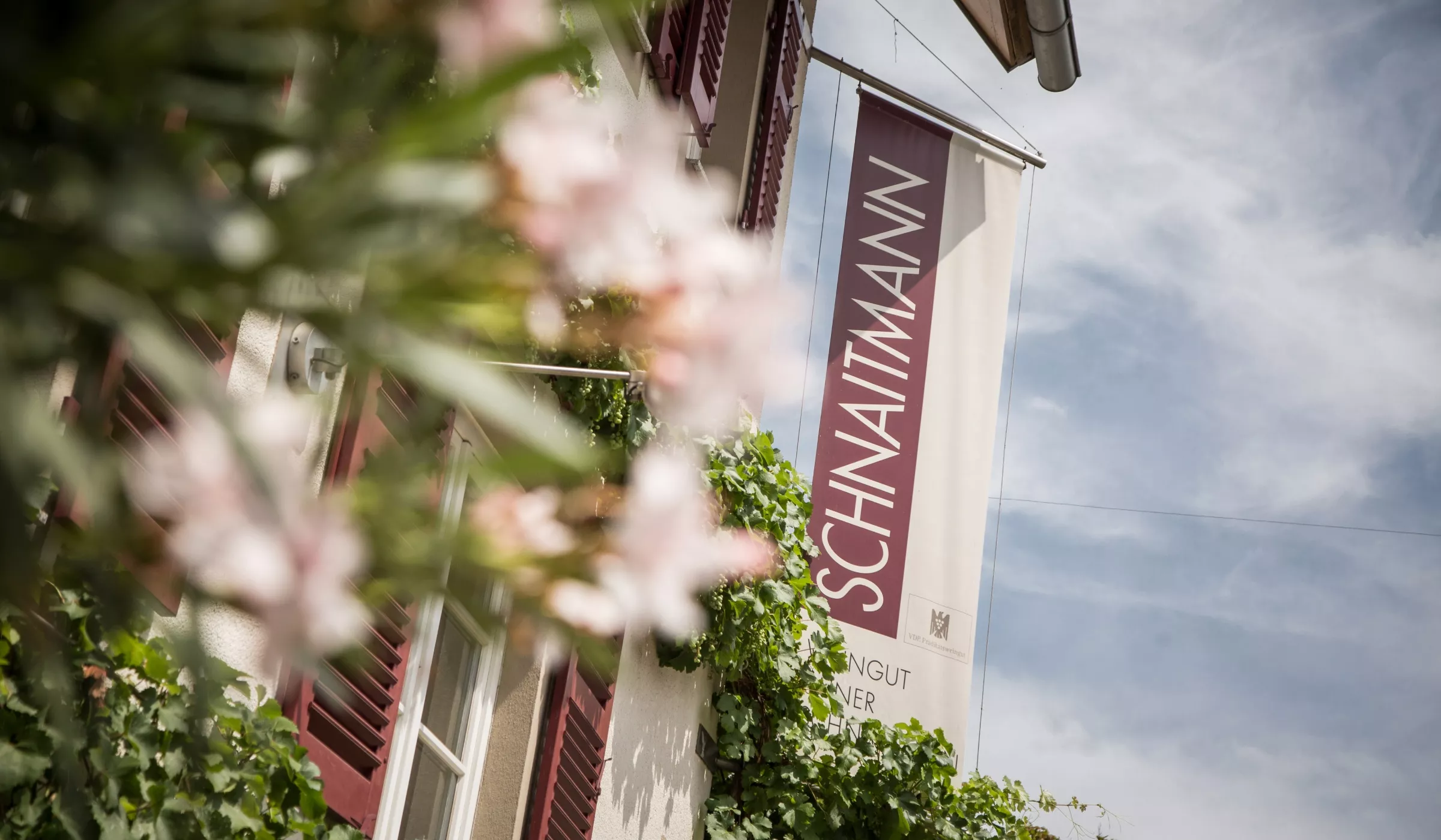 Foto 7 von Weingut Schnaitmann