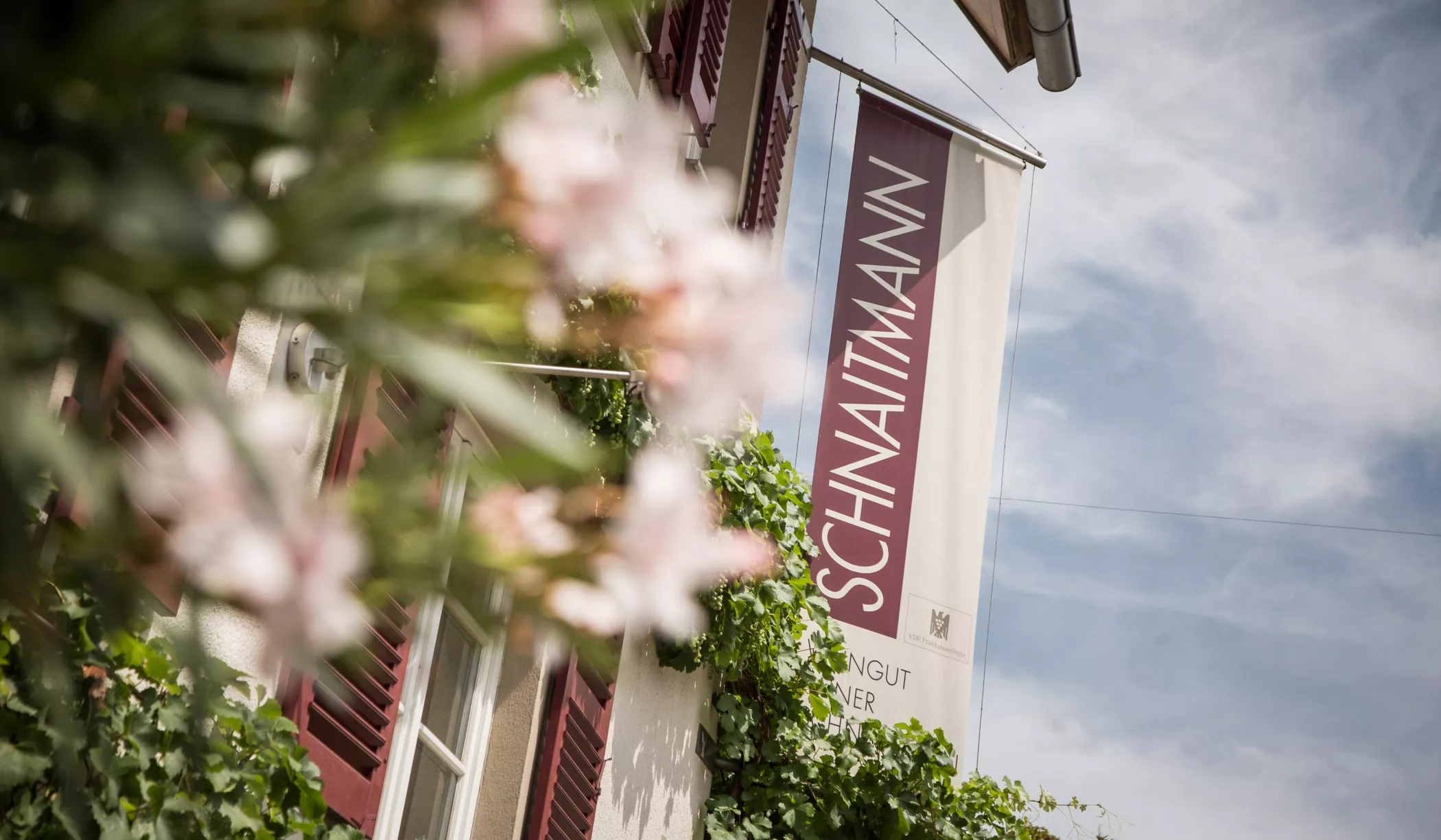 Foto 6 von Weingut Schnaitmann